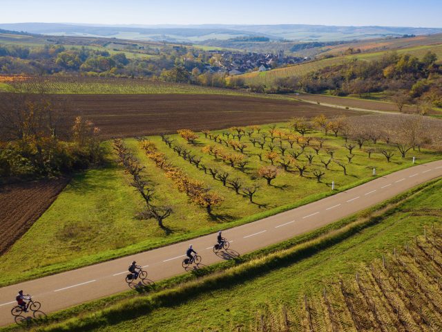 à Vélo à traver les vignobles de Bourgogne