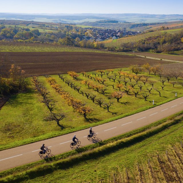 à Vélo à traver les vignobles de Bourgogne