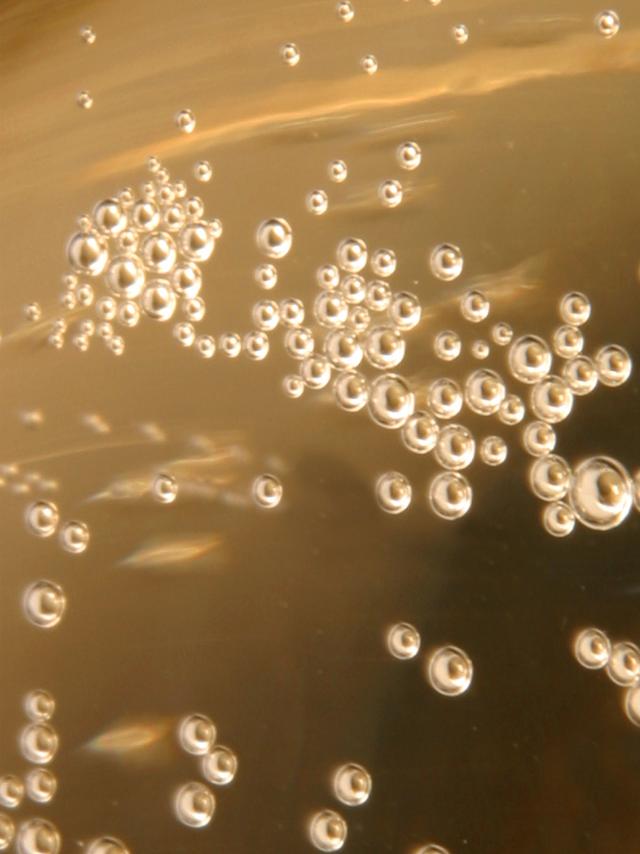bulles-cremant.jpg
