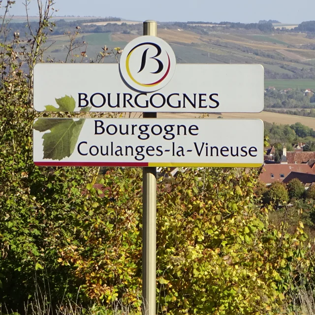 Coulanges La Vineuse