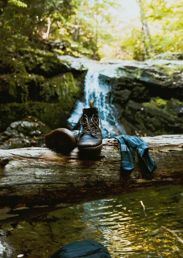 Randonnée en forêt