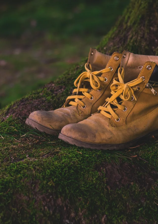 Chaussures de randonnée