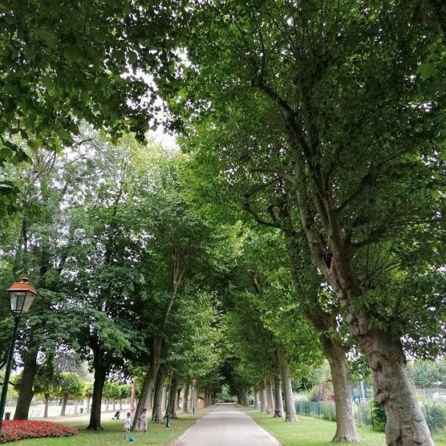 Instagram #auxerroistourisme