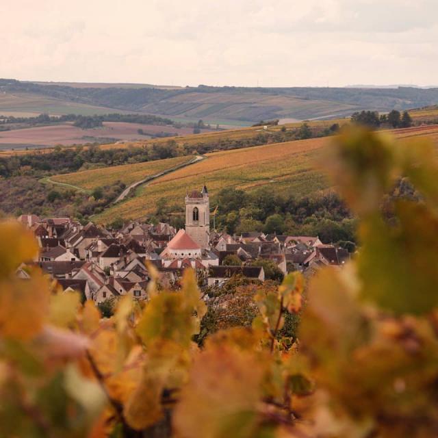 Instagram #auxerroistourisme