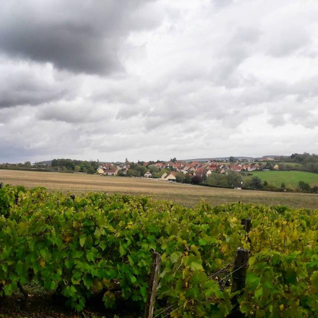 Instagram #auxerroistourisme