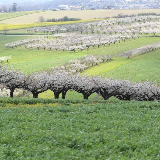 Instagram #auxerroistourisme