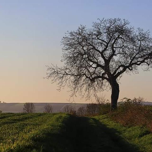 Instagram #auxerroistourisme