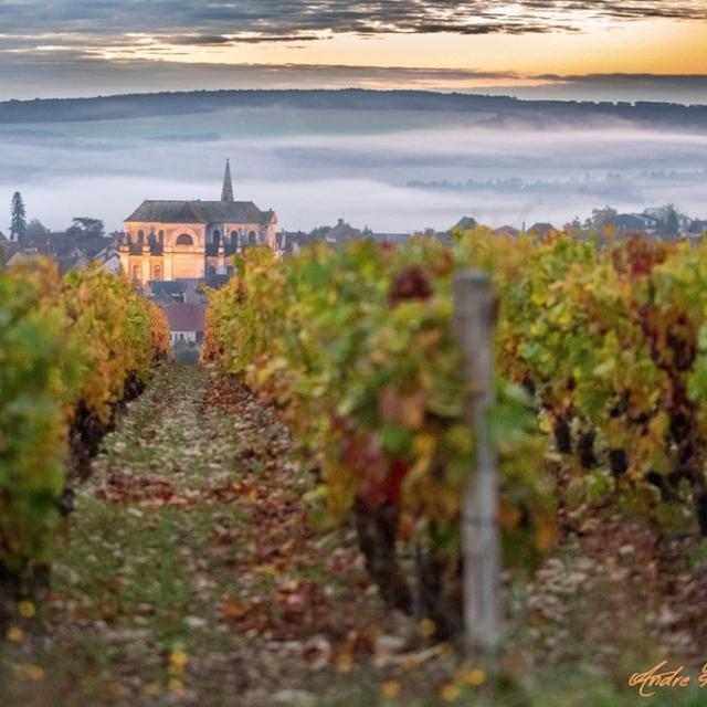 Instagram #auxerroistourisme
