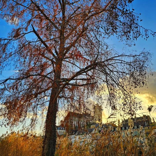 Instagram #auxerroistourisme