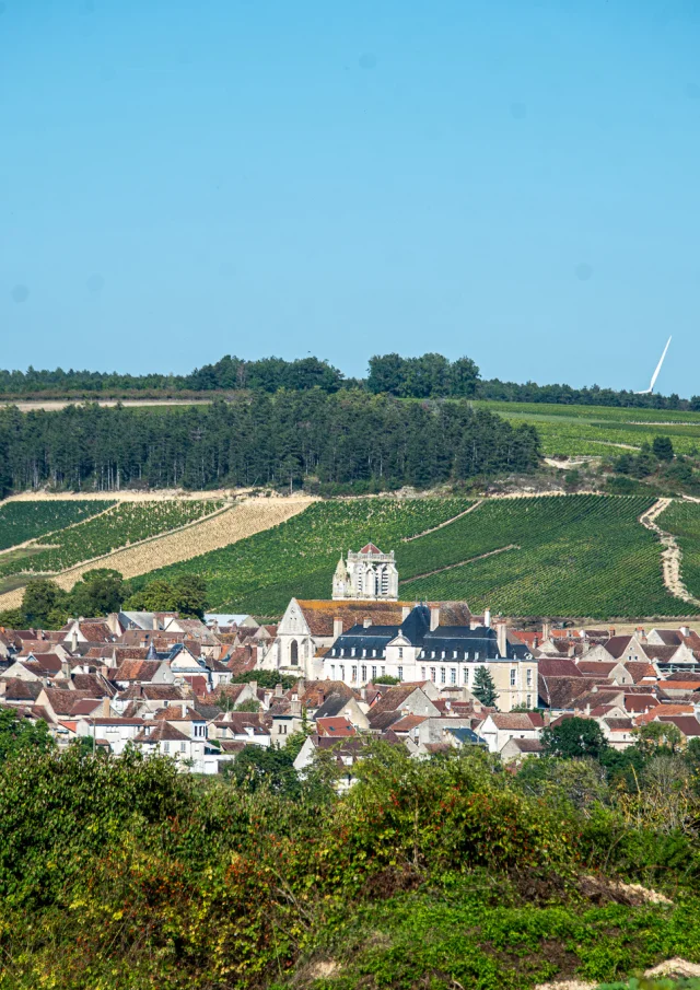 Saint Bris Vue Village Vigne