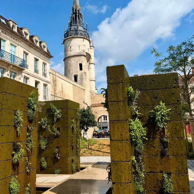 Instagram #auxerre