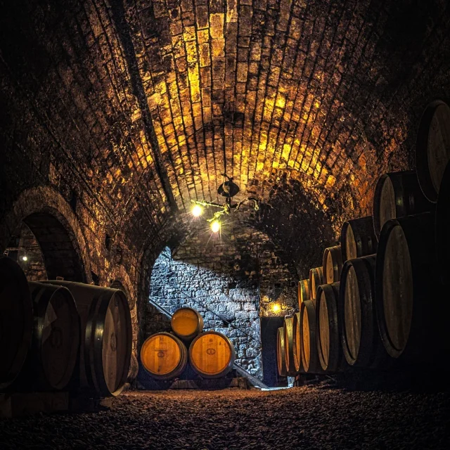 Cave De Saint Bris Le Vineux Office De Tourisme De Lauxerrois
