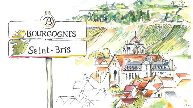 Saint Bris Paysage