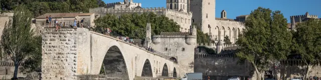 Vue sur le Pont Saint-Bénezet (ou Pont d'Avignon) depuis l'île de la Barthelasse avec des touristes faisant du canoë sur le Rhône - Crédit photo : Frédéric Dahm / Empreintes d'Ailleurs