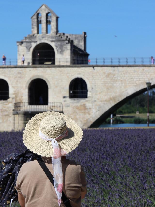 A tourist in front of the Pont d'Avignon (or Pont Saint-Bénezet) - Photo credit: France Olliver / Avignon Tourisme