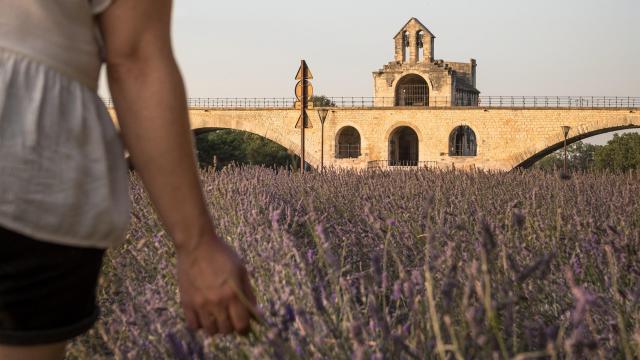 Jovencita en un campo de lavanda frente al Puente de Avignon - Crédito de la foto: Frédéric Dahm / Empreintes d'Ailleurs