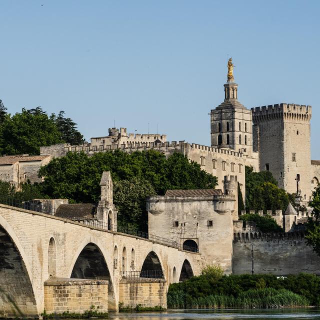 Le Palais des Papes et le Pont Saint Bénezet (ou Pont d'Avignon) depuis l'île de la Barthelasse - Crédit photo : Kos-Crea