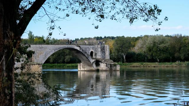 The Pont d'Avignon (or Pont Saint-Bénezet) from the banks of the Boulevard de la Ligne - Photo credit: Olivier Tresson / Avignon Tourisme