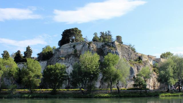 The Rocher des Doms from Barthelasse Island - Photo credit: France Olliver / Avignon Tourisme