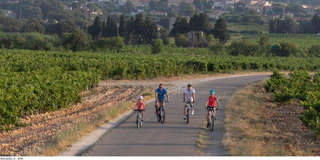 En bicicleta por la ruta Viarhona en Châteauneuf du Pape - Fotografía: Alain Hocquel / Vaucluse Provence Activité