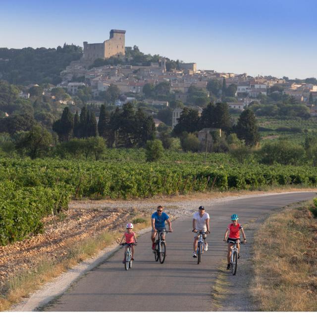Cycling on the Viarhona route in Châteauneuf du Pape - Photo credit: Alain Hocquel / Vaucluse Provence Activité