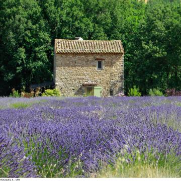 Avignon Tourisme