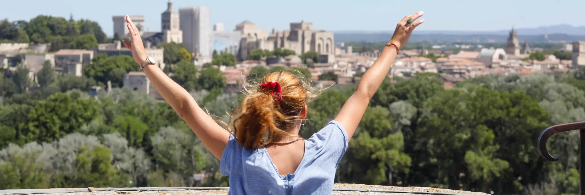 Vista de Aviñón desde Villeneuve Lez Avignon. Crédito: Alain Hocquel / VPA