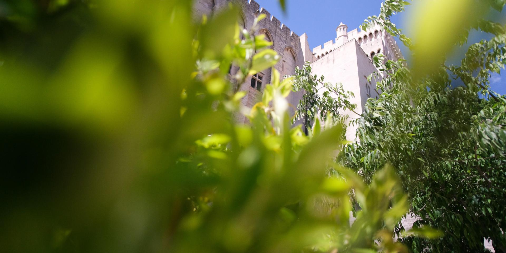 Palais des Papes from the Palais des Papes gardens. Credit: Olivier Tresson