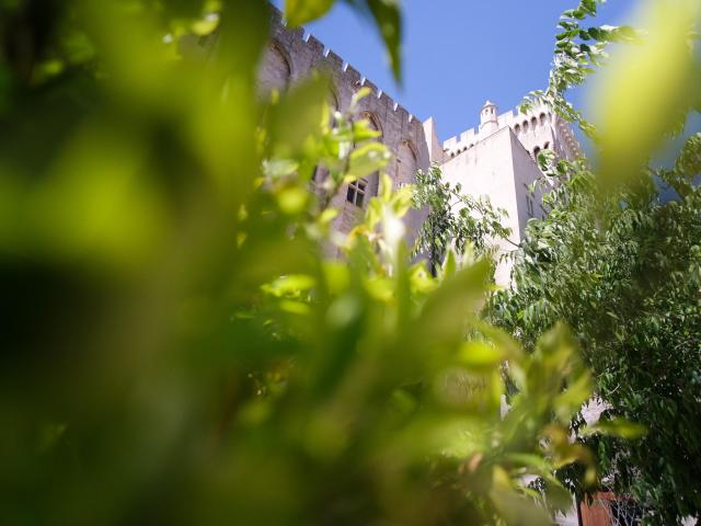 Palais des Papes depuis les jardins du Palais des Papes. Crédit : Olivier Tresson
