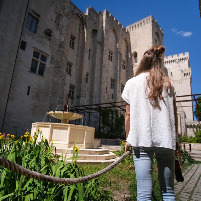 Palais des Papes from the Palais des Papes gardens. Credit: Olivier Tresson