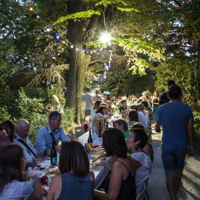 Ban des Vendanges