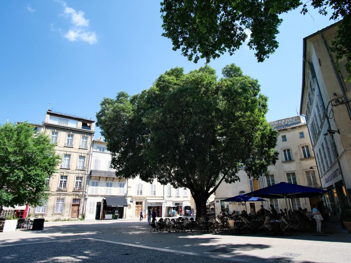 Palais des Papes, Carmes, Corps Saints… Top 10 typical Avignon squares