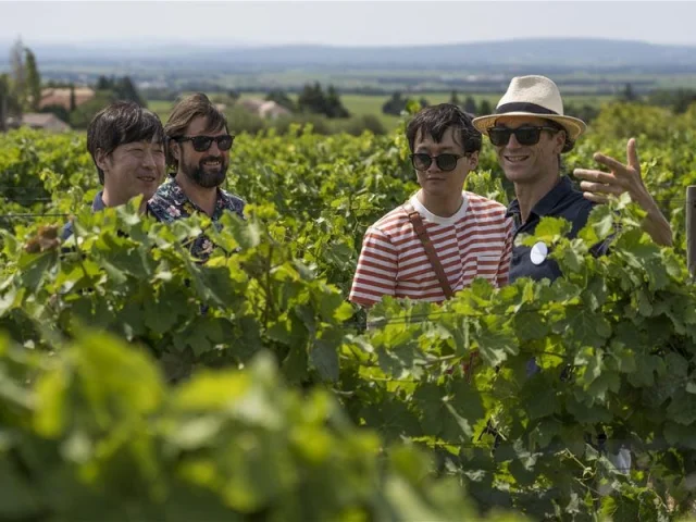 French Wine Tours ! Provence