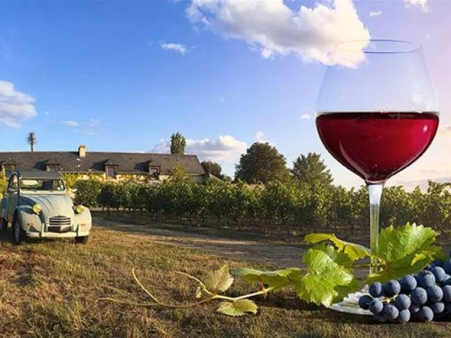 Weintouren in den Weinbergen Avignon Prestige Tour