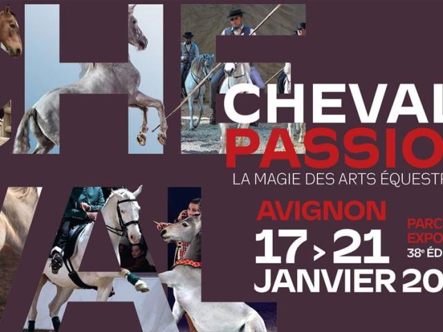 Affiche Cheval Passion