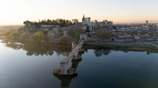 Pont d'Avignon depuis la Barthelasse au lever du soleil