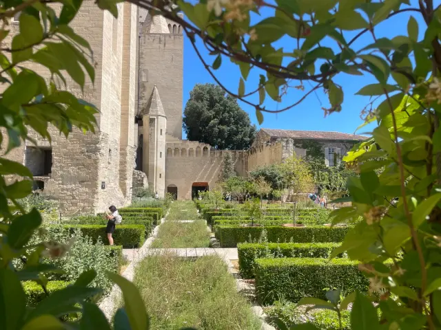 Jardin Des Papes - Benoit XII ©ENoveJosserand / Avignon Tourisme