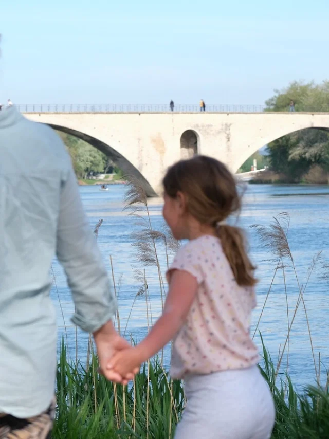 Avignon-Brücke