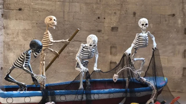Musée des Curiosités : exposition du Miam à l'église des Célestins - Photo © OTresson