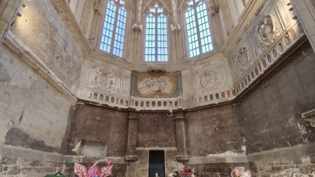 Musée des Curiosités : exposition du Miam à l'église des Célestins - Photo © OTresson