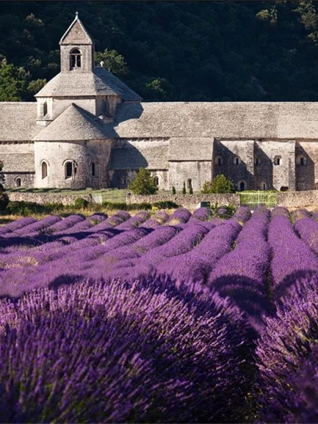 Abbazia di Senanque
