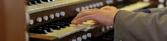 Organiste