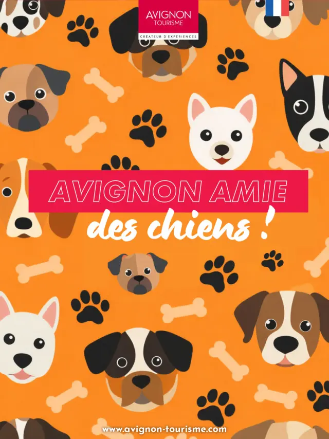 Livret-Avignon-amie-des-chiens.jpg