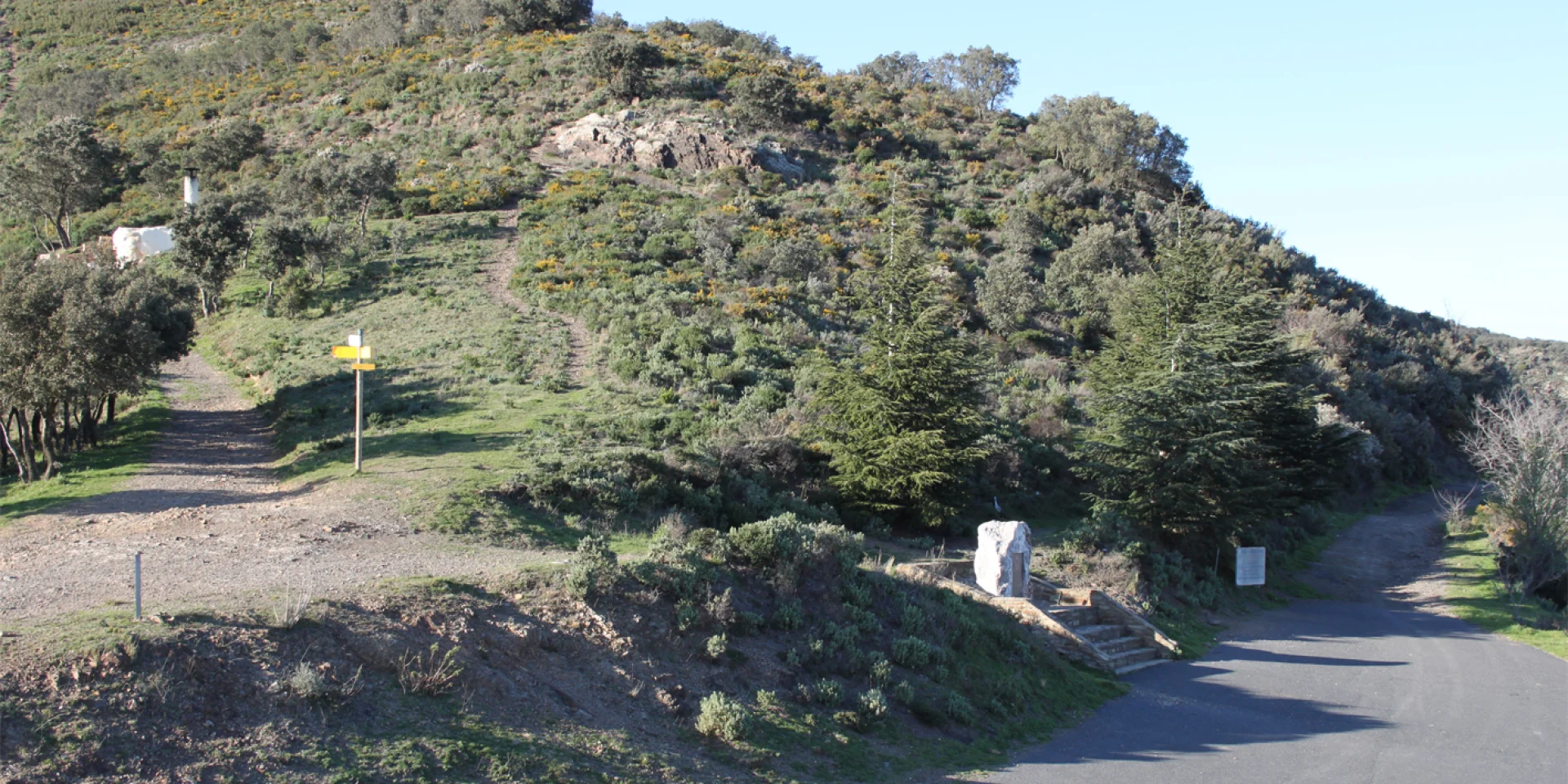 Col De Banyuls Web