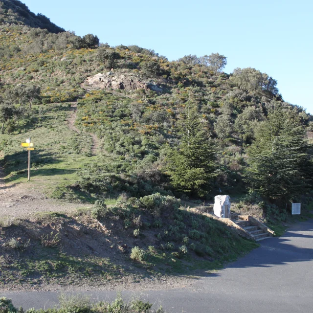 Col De Banyuls Web