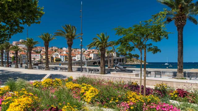 Front de mer Banyuls