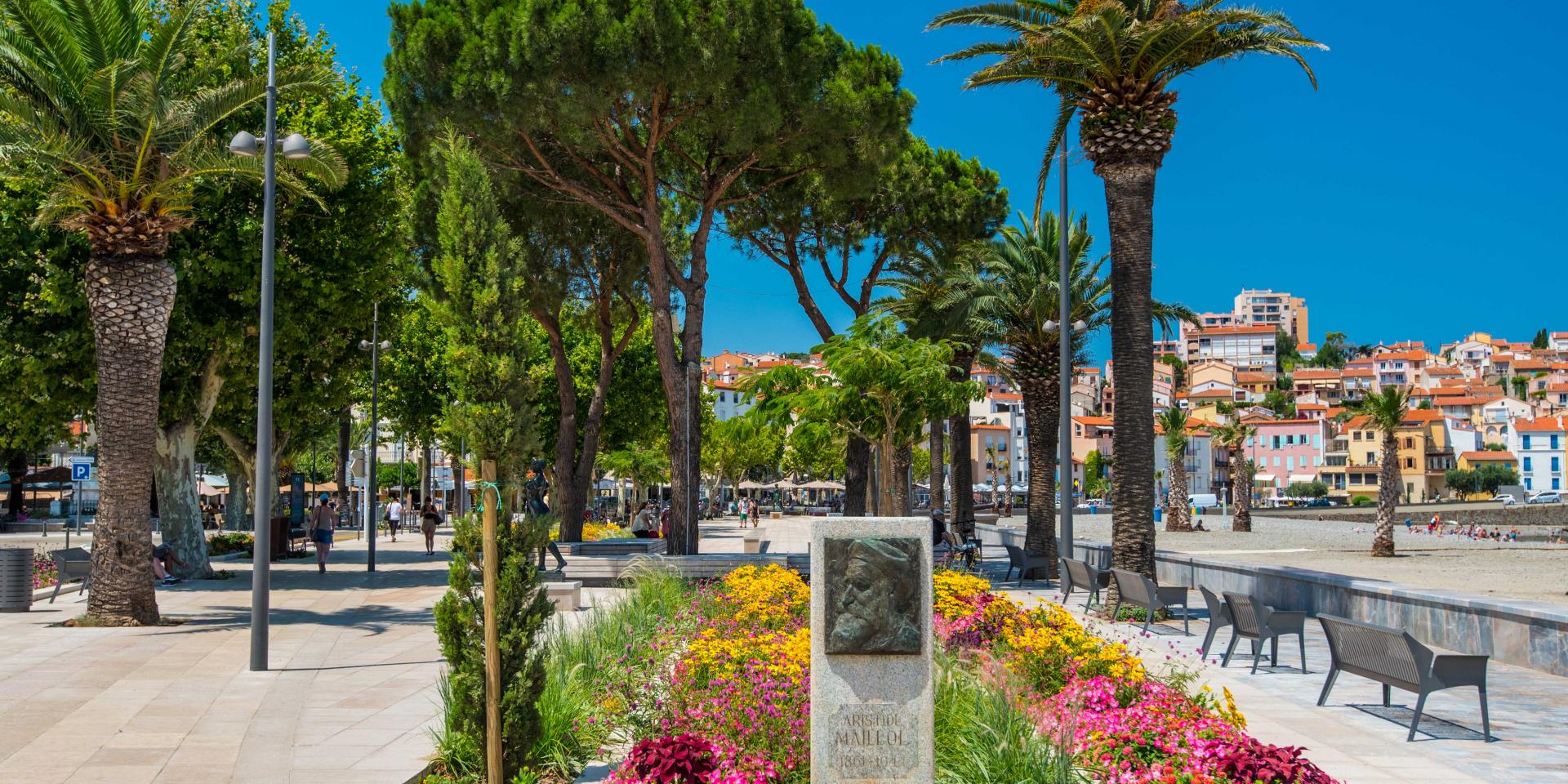 Front de mer Banyuls
