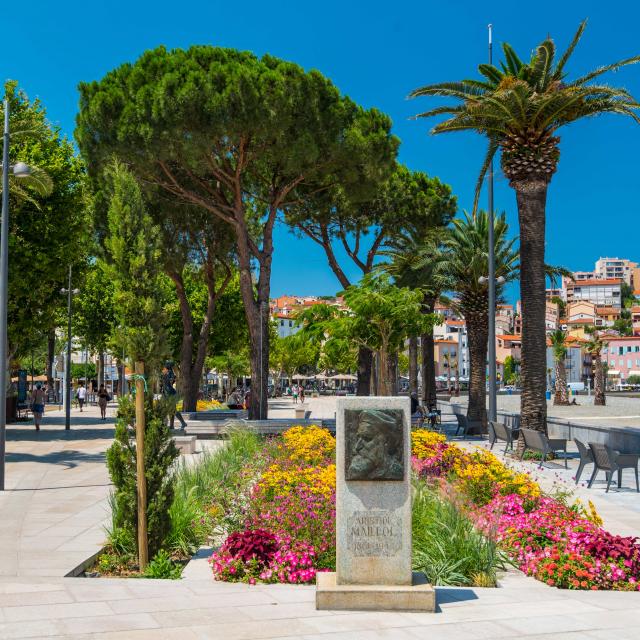 Front de mer Banyuls 