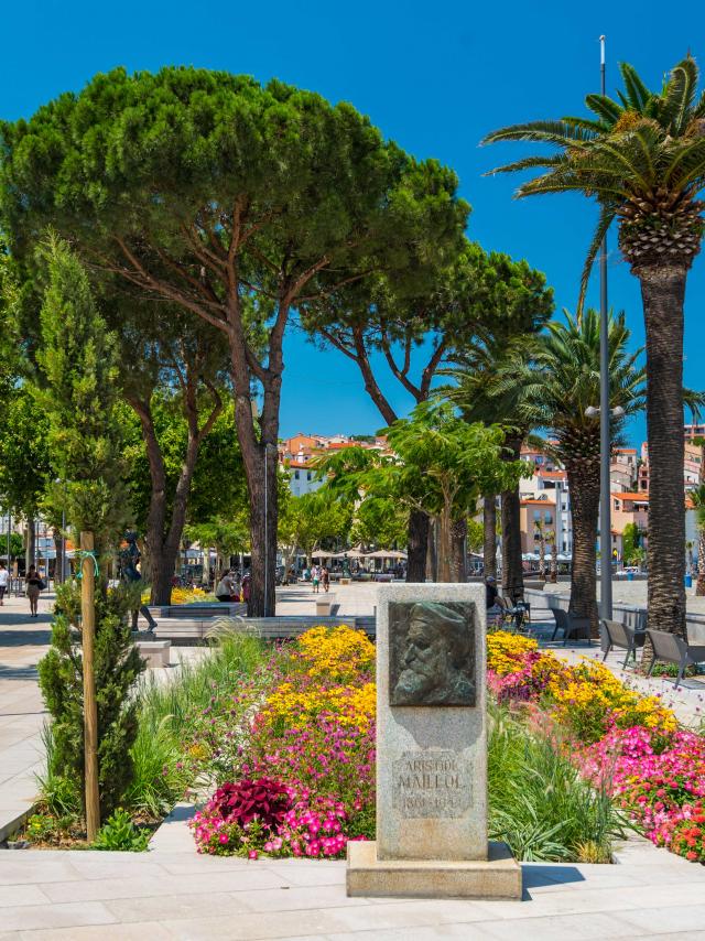 Front de mer Banyuls 