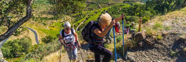 Randonnées sur les sentiers de Banyuls sur mer